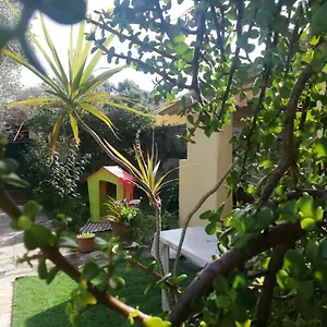 https://sa-domu-antiga.in-sardinia.net